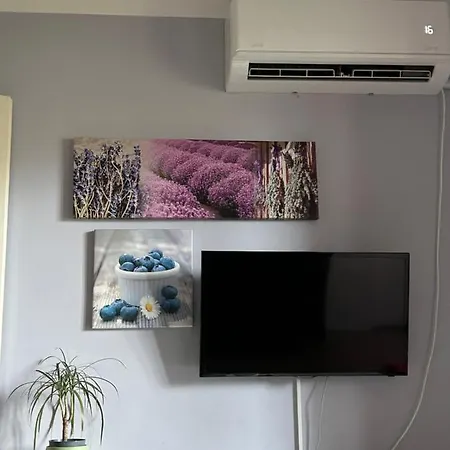 Apartment Kreation Rainbow Cluj-Napoca